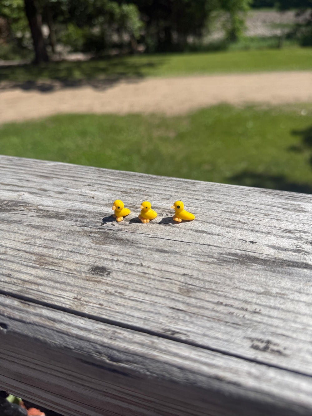Mini Yellow Rubber Duck Trio - Cute Tiny Figurines
